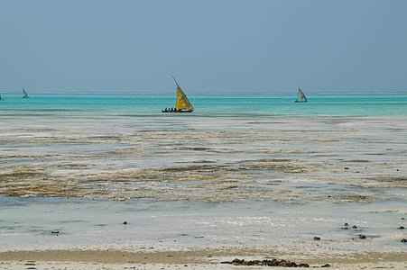 Zanzibar, Tanzania, Afryka, morze, Ocean, świat, podróży