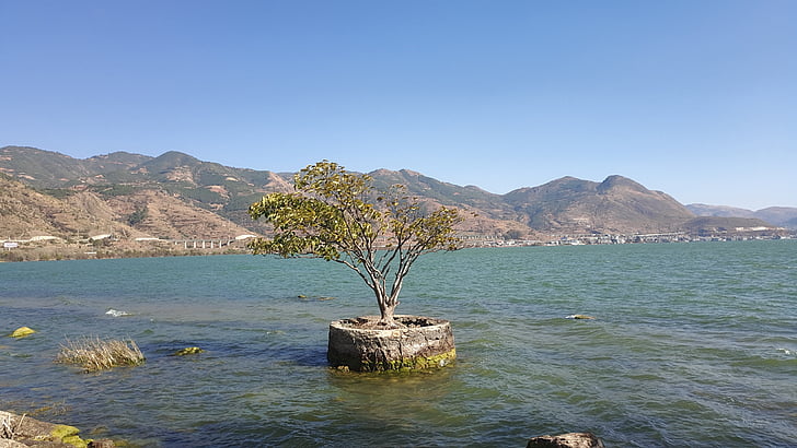 erhai lake, trees, no pollution, nature, sea, mountain
