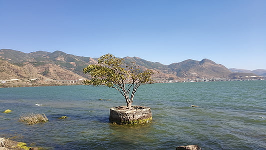 Danau Erhai, pohon, polusi, alam, laut, Gunung