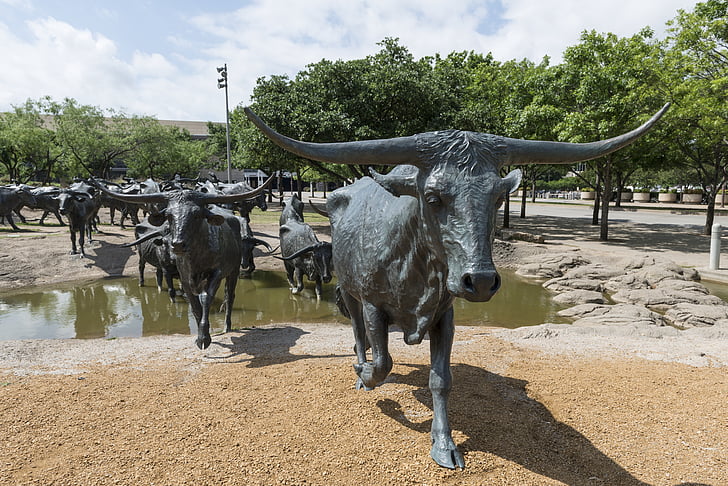 cattle, bronze, statues, metal, longhorn, drive, cowboy