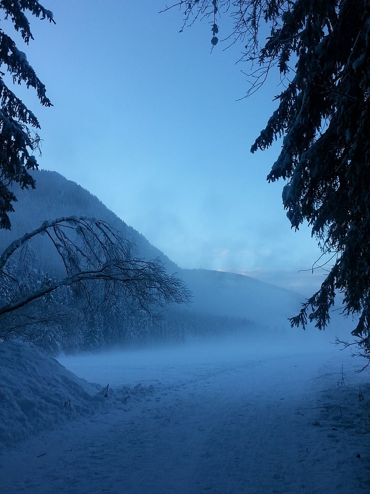 mountain, snow, winter, forest, fog