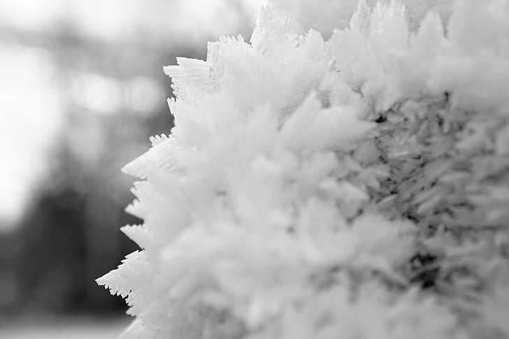 crystals, snow, ice, frost, cold, winter, white