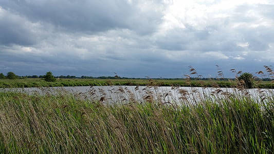 tiik, basseinid, Ida-Friisimaa, vee, edasi, torm, Reed