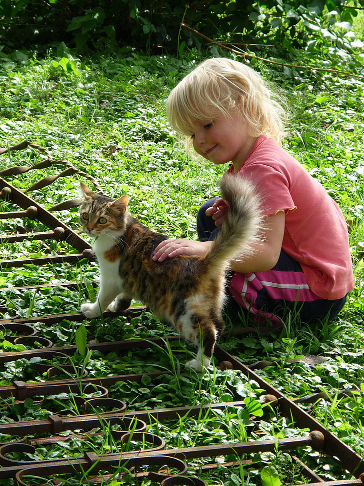 Flicka, barn, katt, Lucky cat, Lycklig, gräs, Blond