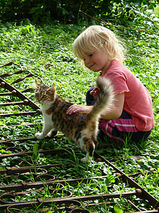 Kız, Çocuk, kedi, şanslı kedi, mutlu, çimen, sarışın