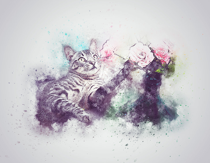cat, pet, flower, cute, art, abstract, bottle