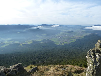 Panorama, Orman, dağ