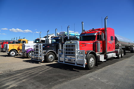 camió, remolcs semi, EUA, remolcar vehicle, vermell, groc, violeta