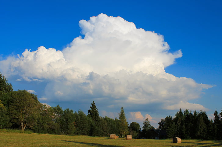 clouds, sky, landscape, blue, nature, tree, meadow