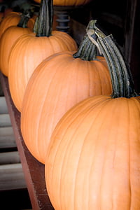 Halloween, labu, musim gugur, musim gugur, Orange, Oktober, panen