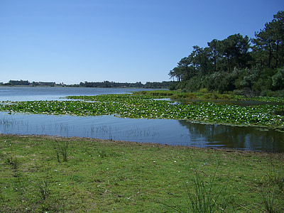 Laguna, narave, jezero
