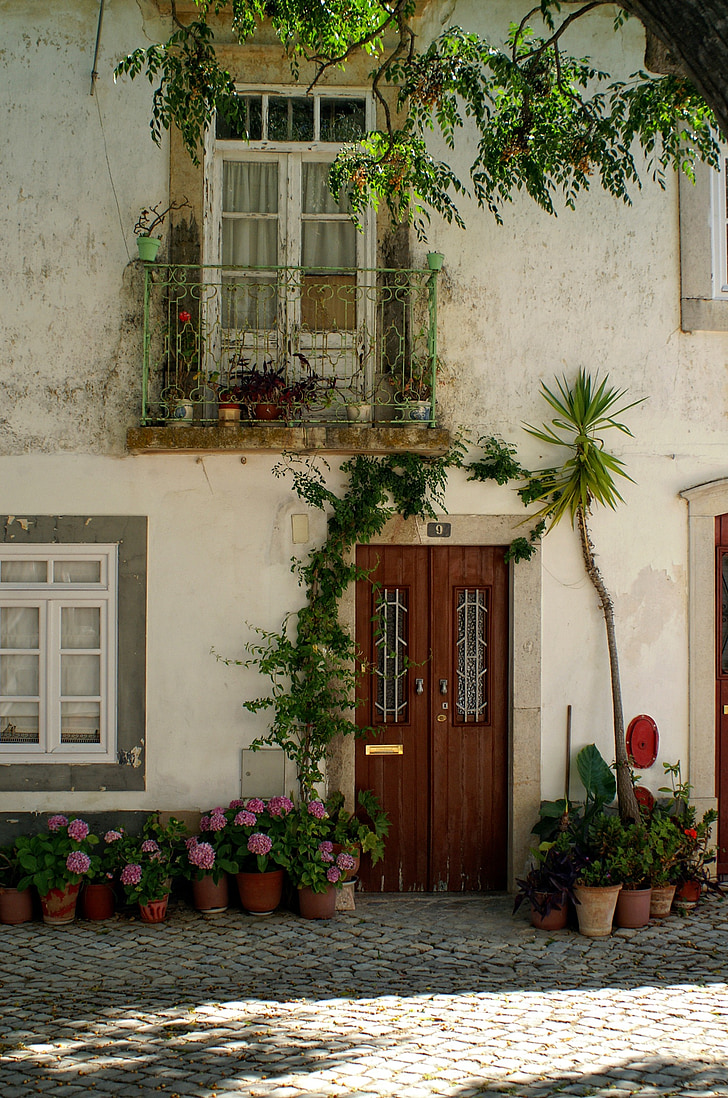 εσωτερικό μέτωπο, πόρτα, διακόσμηση, παράθυρο, hausdeko, πρόσοψη σπιτιού, φυτό