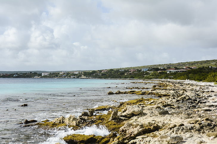 Oceaan, schilderachtige, Bonaire, natuur, zee, kustlijn, landschap
