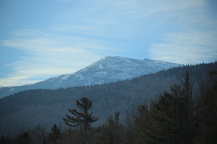 gozd, krajine, gorskih, narave, dreves, drevo, scenics