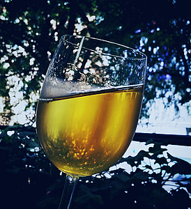 寒意, 葡萄酒, 玻璃, 感冒, 饮料, 生活, 心寒