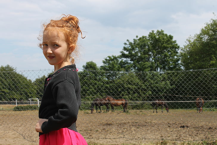 dievčatko, kone, úsmev, kôň, lúka, kôň, mólo