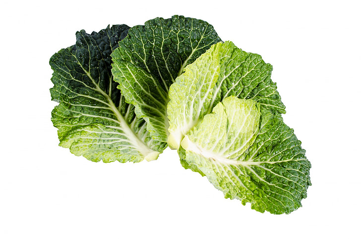 Kale, verde, Branco, planta, isolado, vegetariano, folhagem