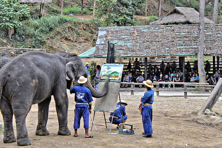 ελέφαντας, καλλιτέχνης, Ταϊλάνδη, Ζωγραφική, εικόνα