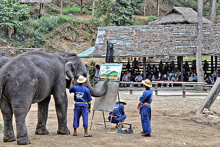 slon, umjetnik, Tajland, slika, slika