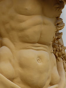 kroppen, muskler, Sixpack, figur, sport, skulptur, statuen