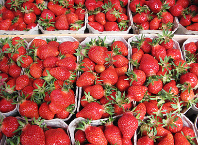 딸기, 수확, 농민 지역 시장, 익은, 달콤한, 레드, 맛 있는