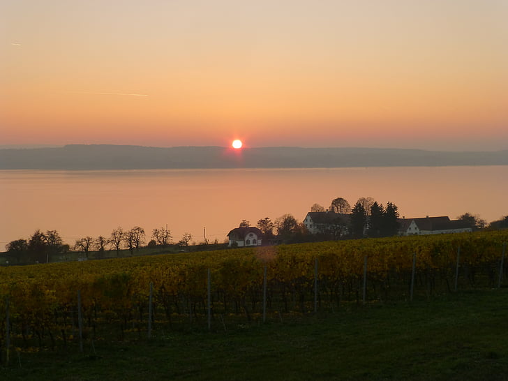 Birnau, Afterglow, Západ slunce, Bodamské jezero, vinice, Uhldingen mühlhofen, vinné révy
