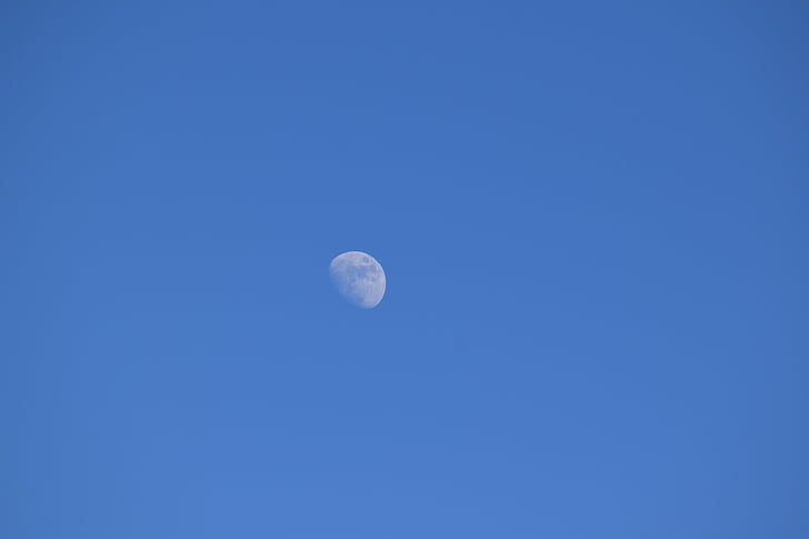 dag månen, Månens, Half moon, første kvartal, dag, Sky, Månen