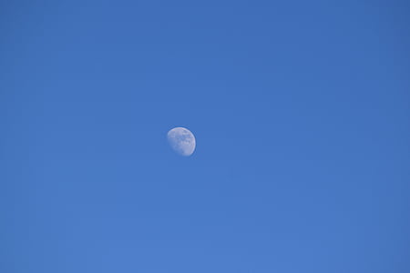 ημέρα Σελήνης, σεληνιακή, μισό φεγγάρι, πρώτο τρίμηνο, ημέρα, ουρανός, φεγγάρι