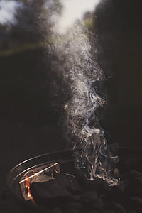dym, -Grill, gorąco, palić, drewno, mięso, ciepła