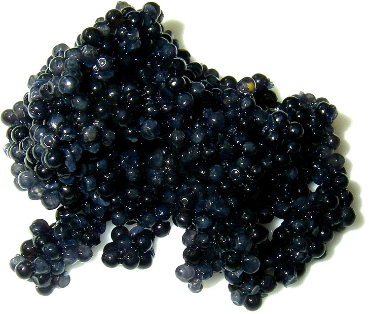 Caviar, Spawn, interférence, luxe, or noir, faire cuire, alimentaire