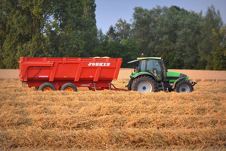 traktor, jerami, panen, gandum, pertanian, bidang, pertanian