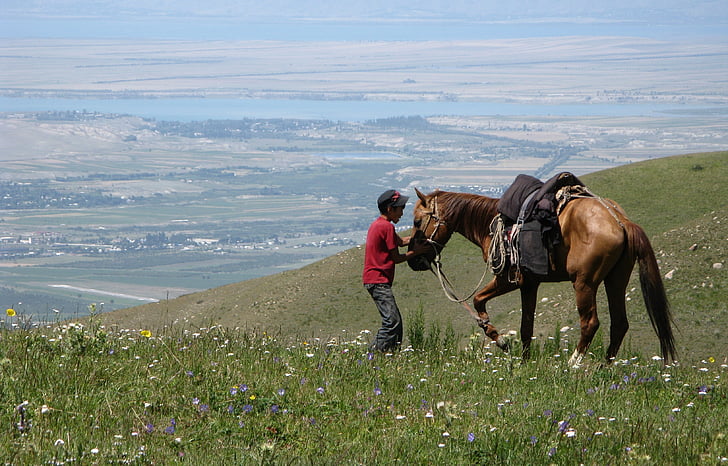 Karakol, Kirgizija, arklys, Gamta, gyvūnų, važinėti, arkliai