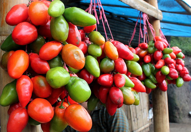 tomatid, puu, taimne, punane, loodus, põllumajandus