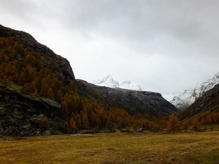 Itália, Vale de Aosta, Aosta, Gran paradiso, Parque Nacional, Outono, nevoeiro