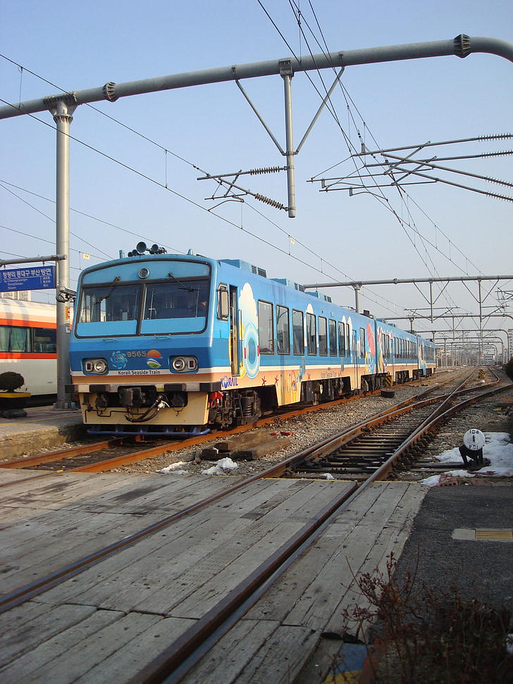 juna, sininen, rautatieasema, Railroad