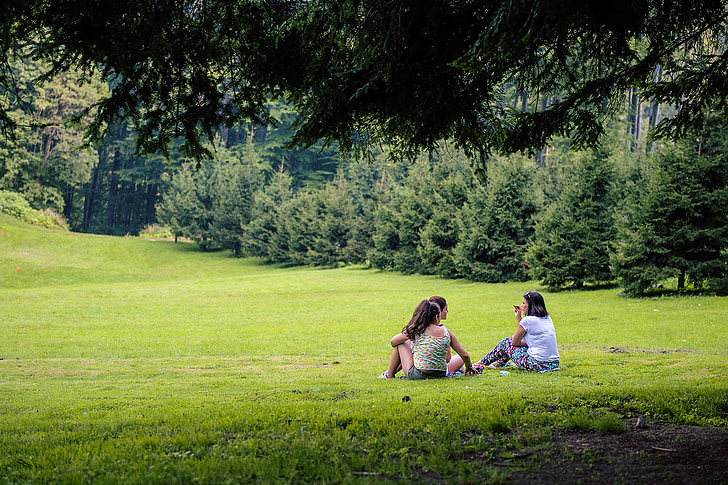piknik, loodus, tüdrukud, istudes, muru, noor, terve