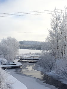 sne, Creek, natur