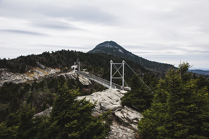 bridge, landscape, mountain, outdoors, rocky, trees