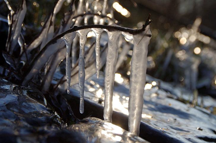 icicle, студено, обратно светлина, лед, зимни, замразени, природата