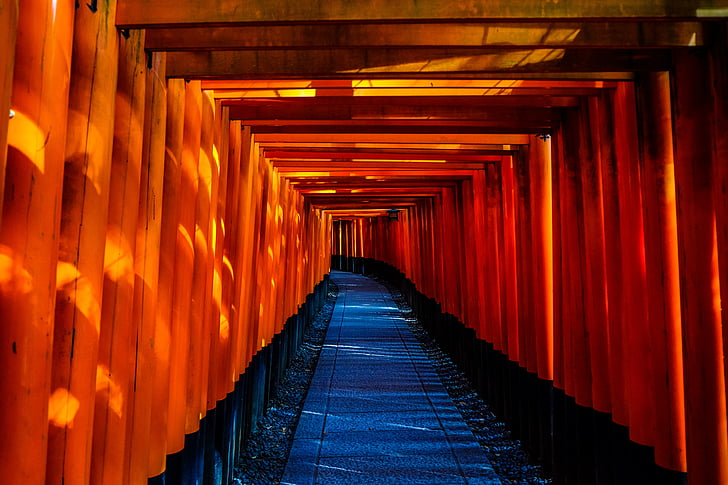 Japan, Temple, arkitektur, tunnel, entre, indendørs, passage