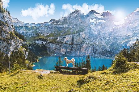 sjön oeschinen, Schweiz, bergen, landskap, sommar, naturen, Kandersteg