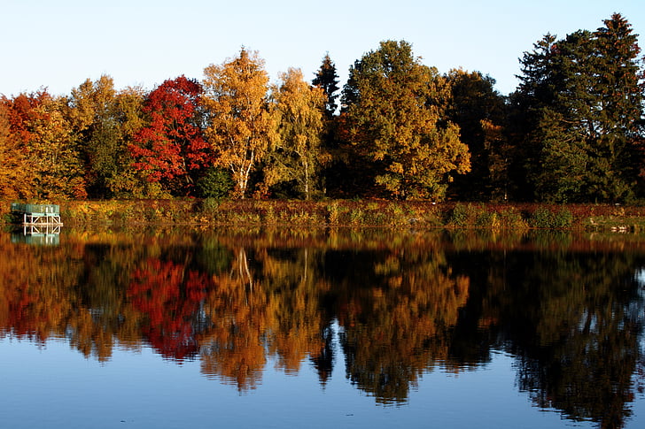 秋, 木, ミラーリング, カラフルです, 水の反射, 湖, フォレスト