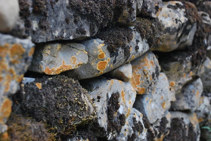 wall, pyrenees, moss, lichen, rocks, path, backgrounds