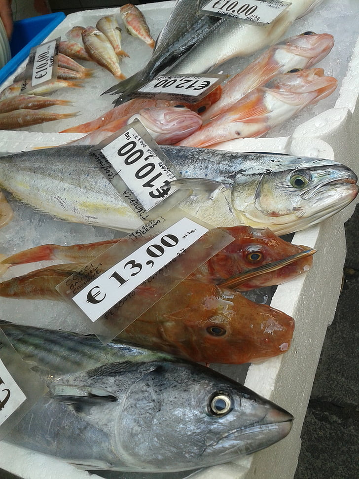 peix, Frisch, mercat, aliments, menjar, deliciós, mercat del peix