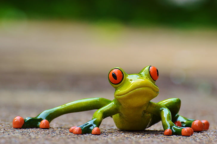 frog, funny, figure, cute, animal, fun, green
