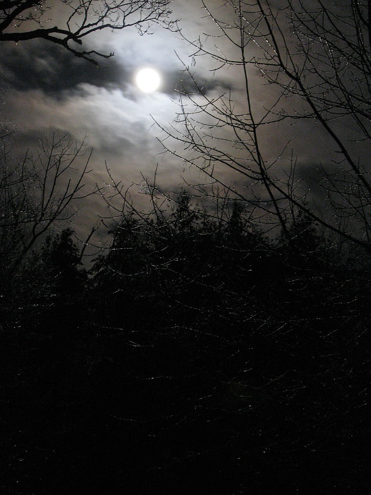 moon, moonlight, night, sky, winter, ice, spooky