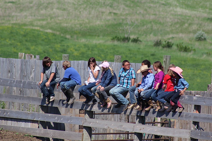 dzieci, dzieci, Rodeo, siedząc, wybiegiem biblijny, Kid's ranch