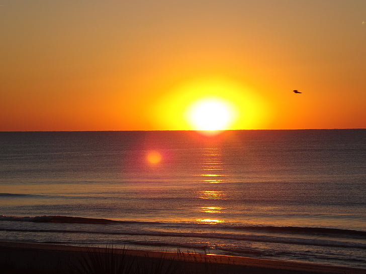 Sunrise, Ocean, Sea, vee, loodus, päike, Meremaal