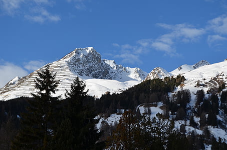 다보스, 산, 눈, 스위스, 조 경, 겨울