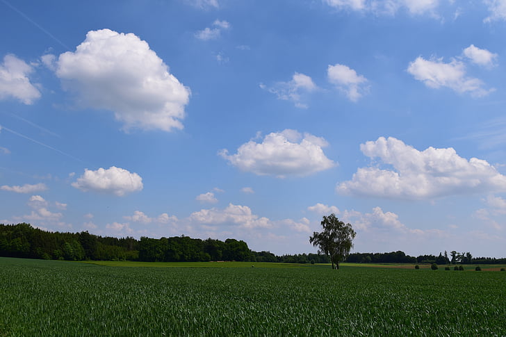background, sky, clouds, blue, landscape, nature, fields
